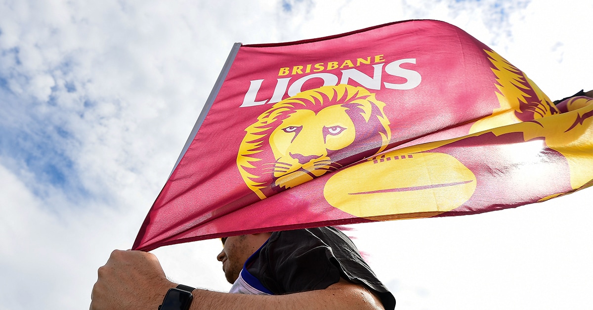 lionsspringupdate17web.jpg